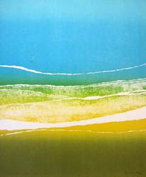 Marshlands from Above a fine art print by Arthur Secunda